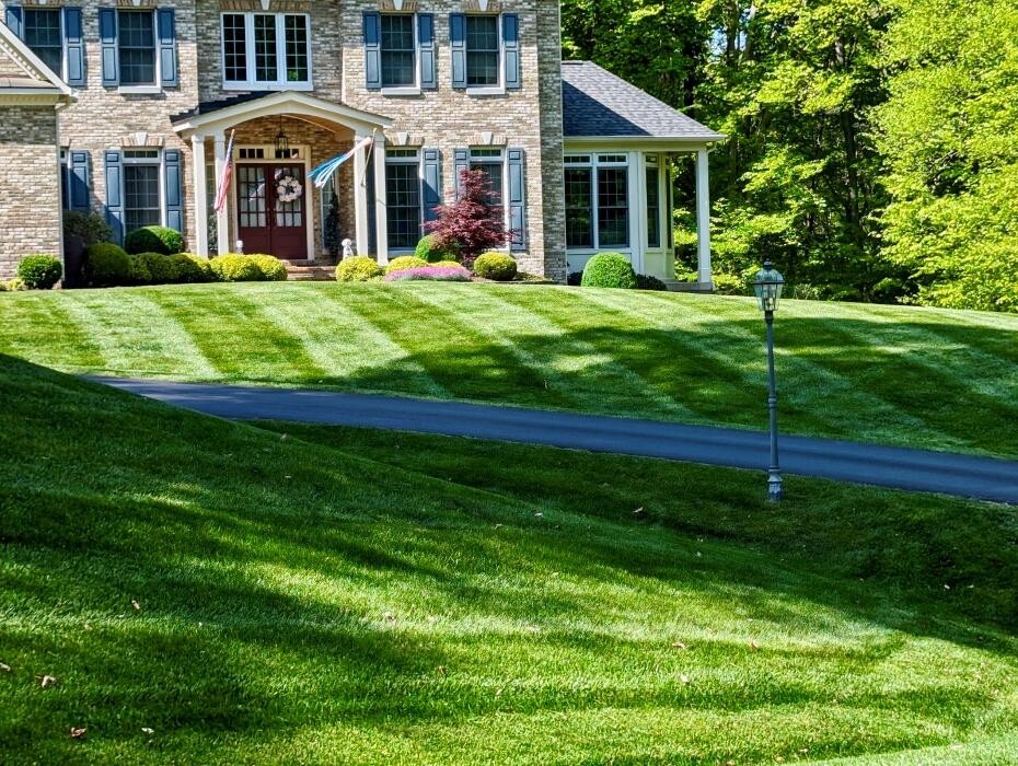 Images Custom Care Lawn & Property Services Inc