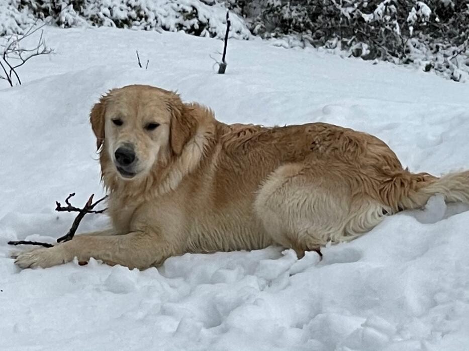 Images Christopher Fauver DDS Comprehensive Dentistry and Oral Wellness