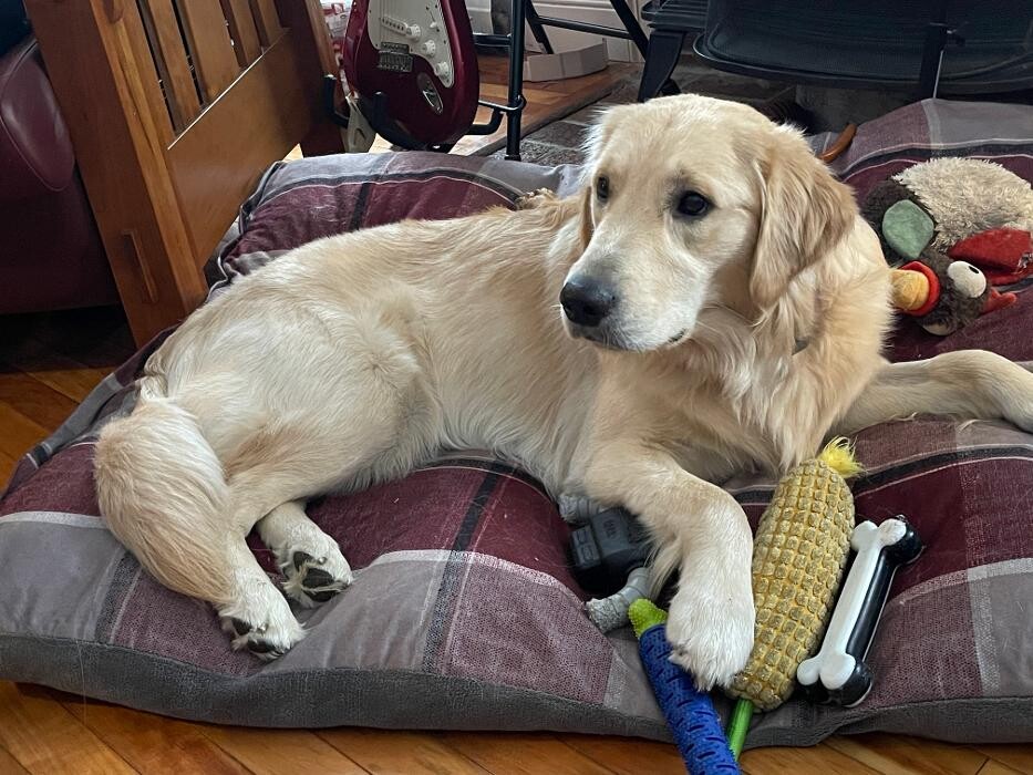 Images Christopher Fauver DDS Comprehensive Dentistry and Oral Wellness