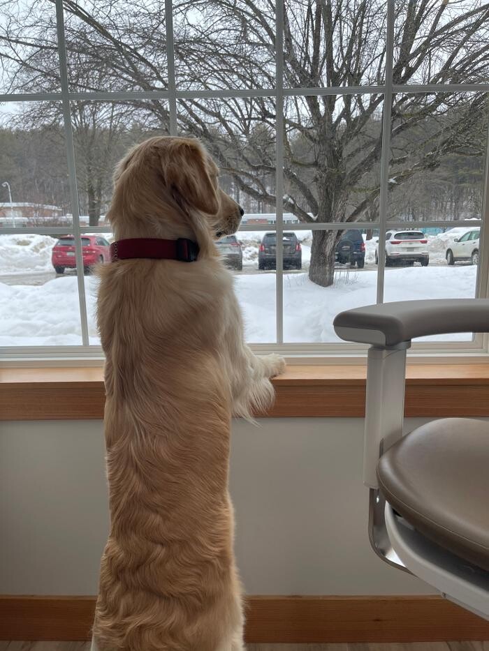 Images Christopher Fauver DDS Comprehensive Dentistry and Oral Wellness