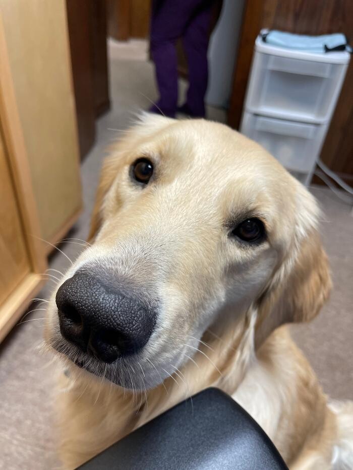 Images Christopher Fauver DDS Comprehensive Dentistry and Oral Wellness