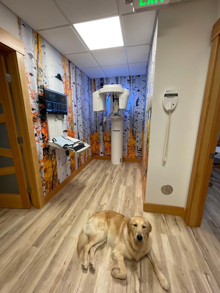 Images Christopher Fauver DDS Comprehensive Dentistry and Oral Wellness