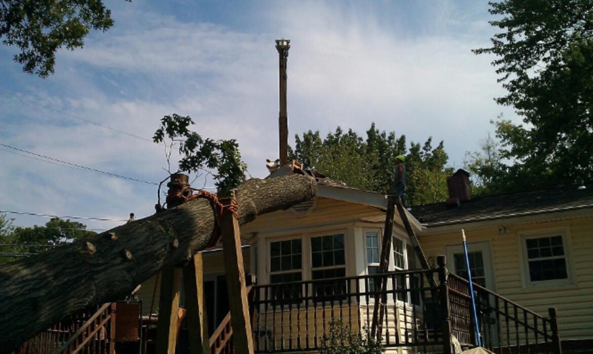 Images Chesapeake Tree & Outside Services LLC