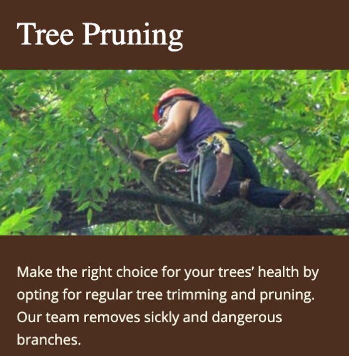 Images Chesapeake Tree & Outside Services LLC