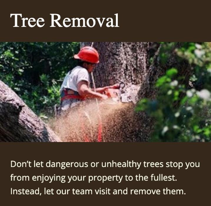 Images Chesapeake Tree & Outside Services LLC