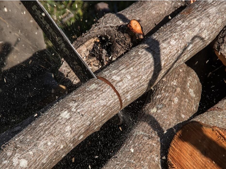 Images Chesapeake Tree & Outside Services LLC