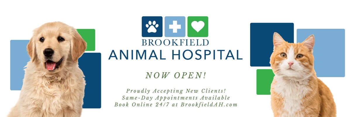 Images Brookfield Animal Hospital