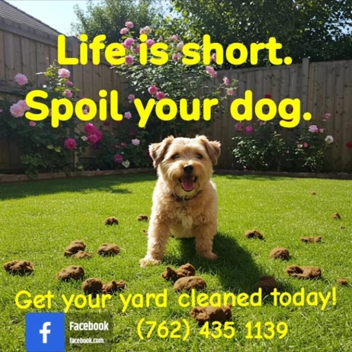 Images Dirty Dingo Doody Disposal