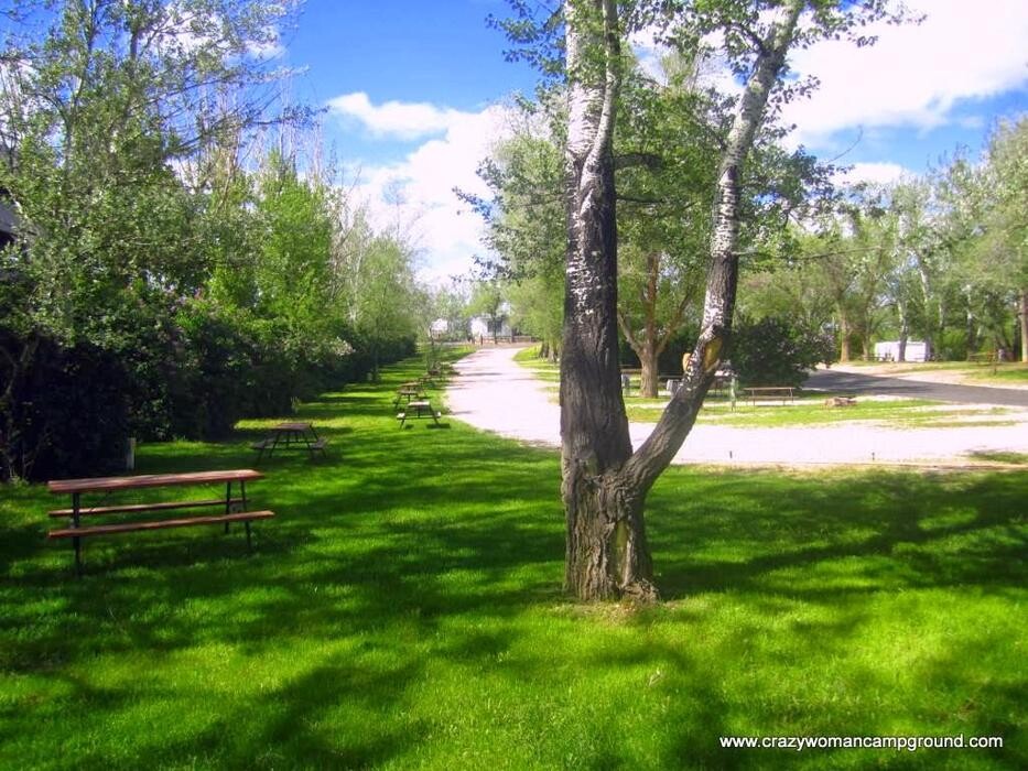 Images Green Tree's Crazy Woman Campground