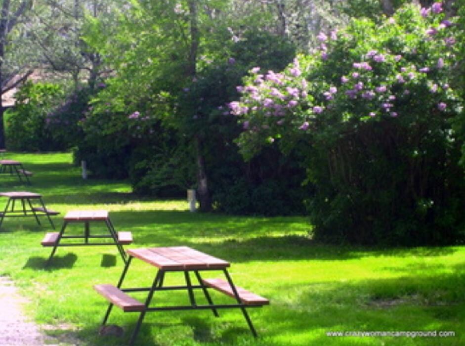 Images Green Tree's Crazy Woman Campground