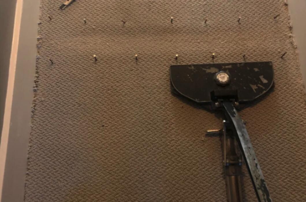 Images Five Star Carpet Service