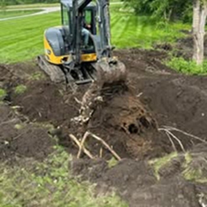 Images Loe Lawn & Landscape