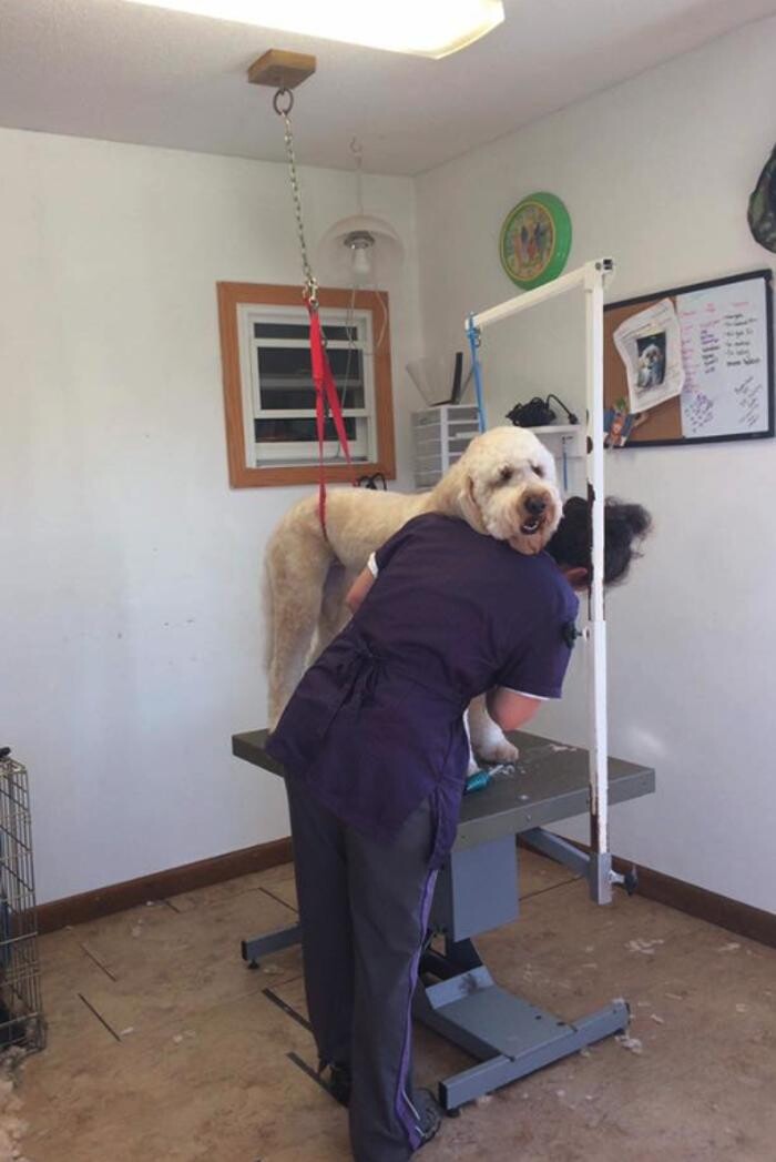 Images Kingdom Canine Center