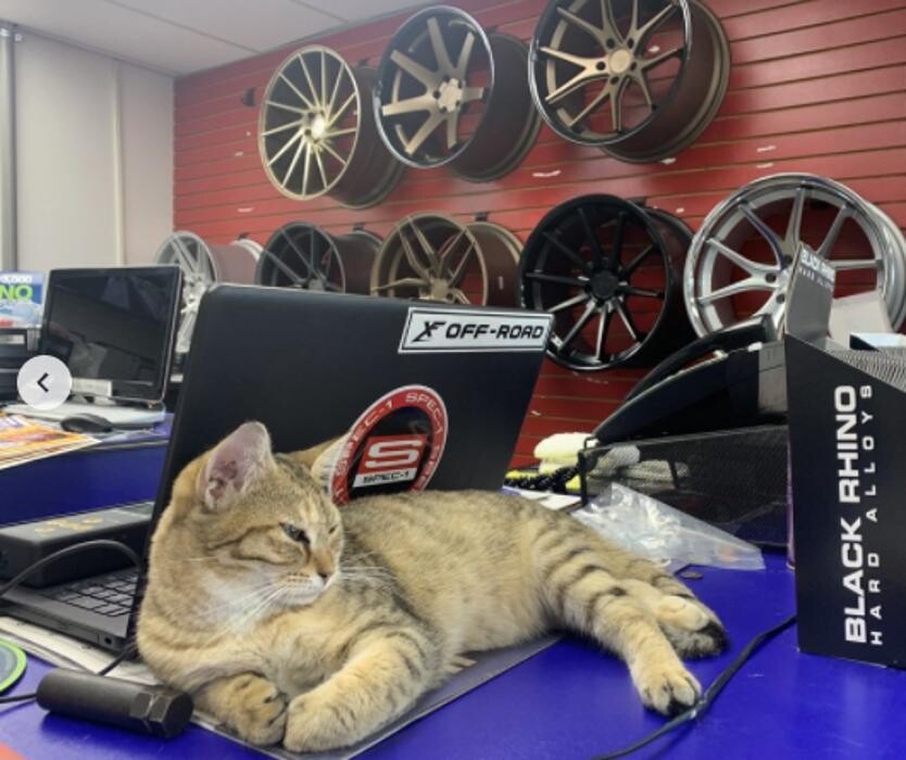 Images Howie's Tire & Wheel