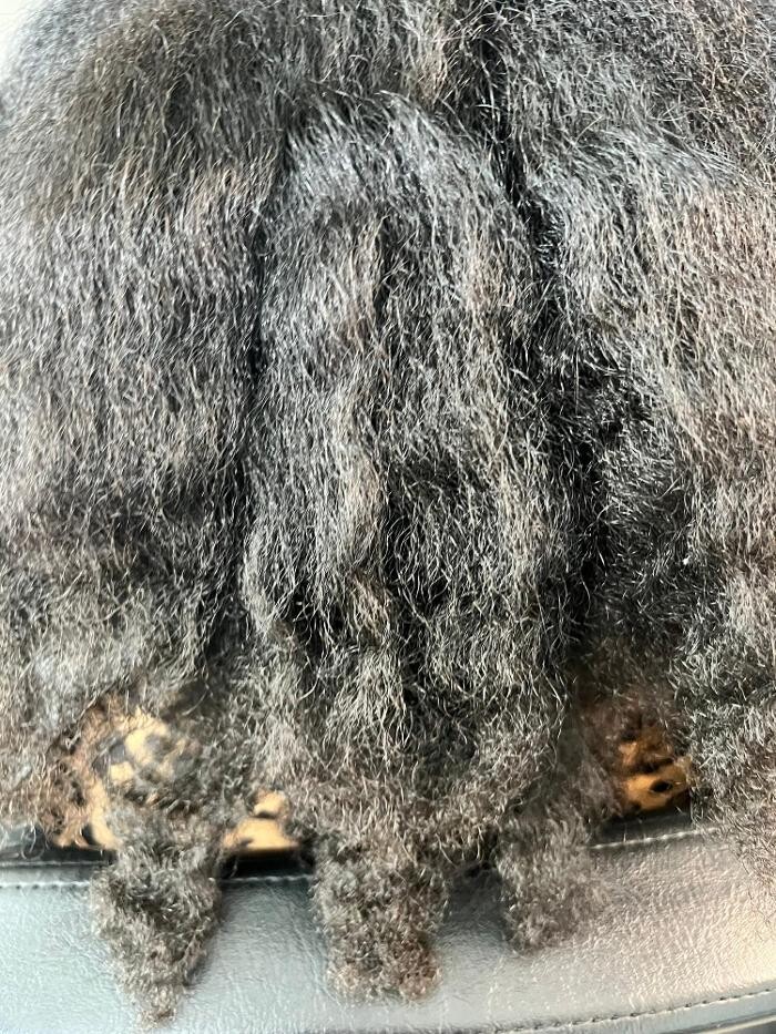 Images Insure Beauty, LLC