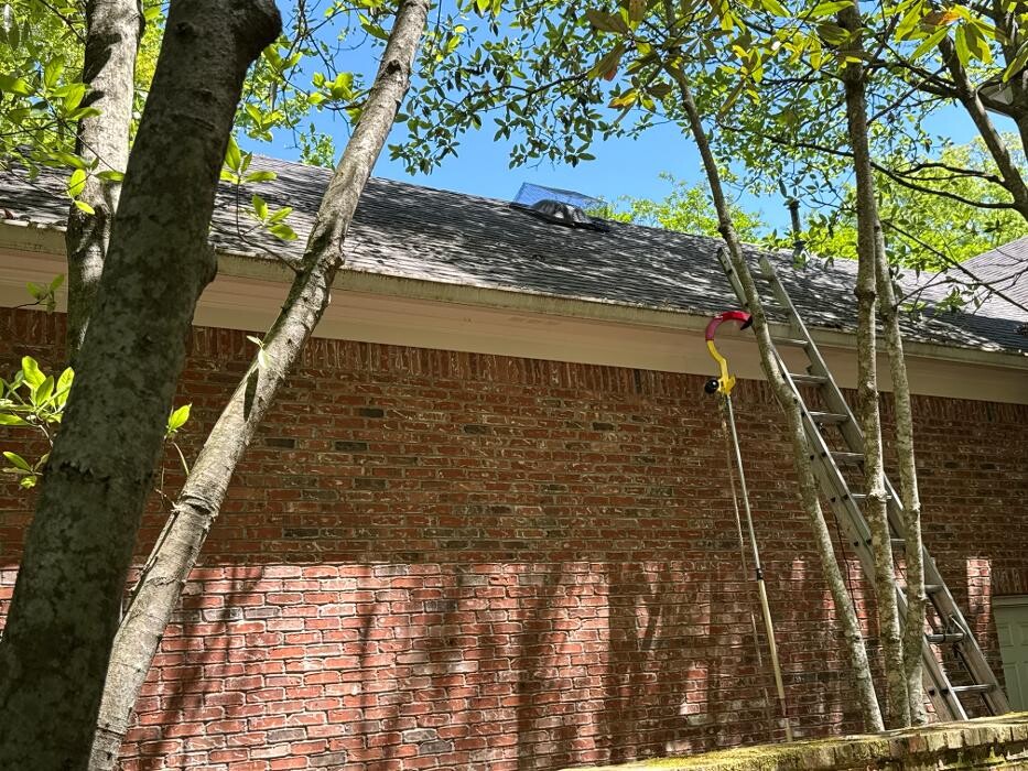 Images Critter Control of Hattiesburg