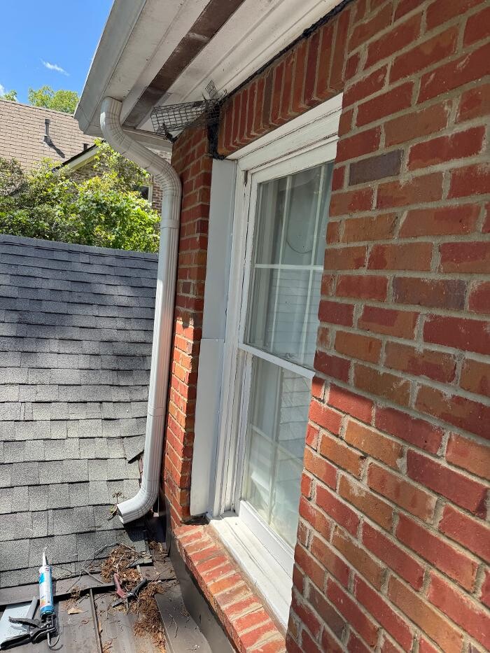 Images Critter Control of Hattiesburg