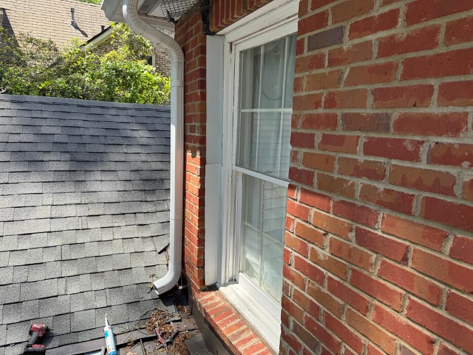 Images Critter Control of Hattiesburg