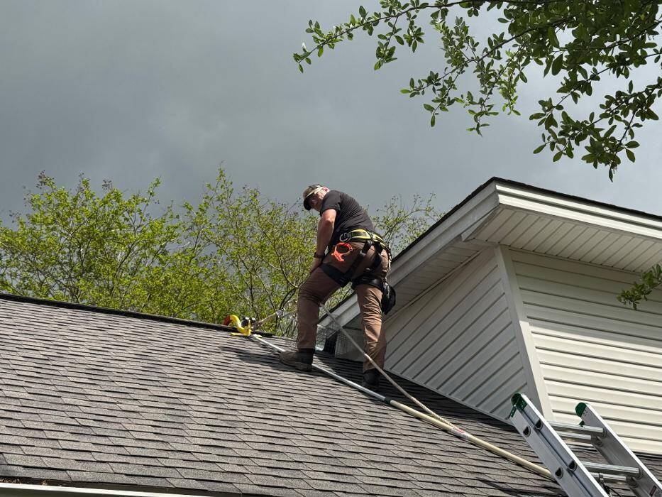 Images Critter Control of Hattiesburg