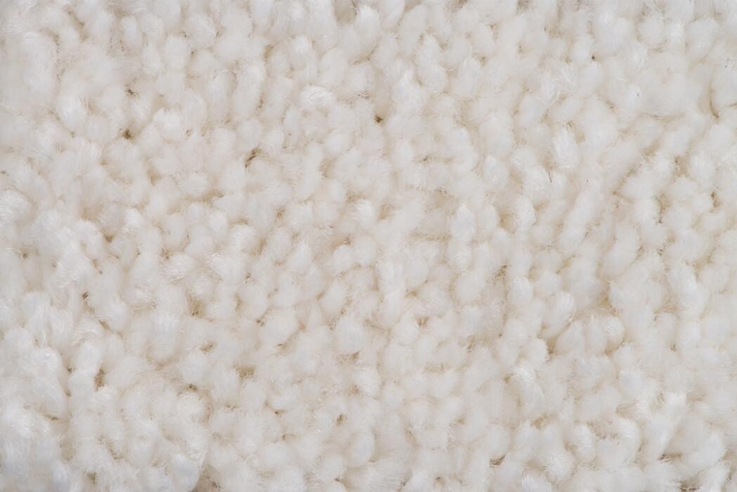 Images Premier Chem-Dry