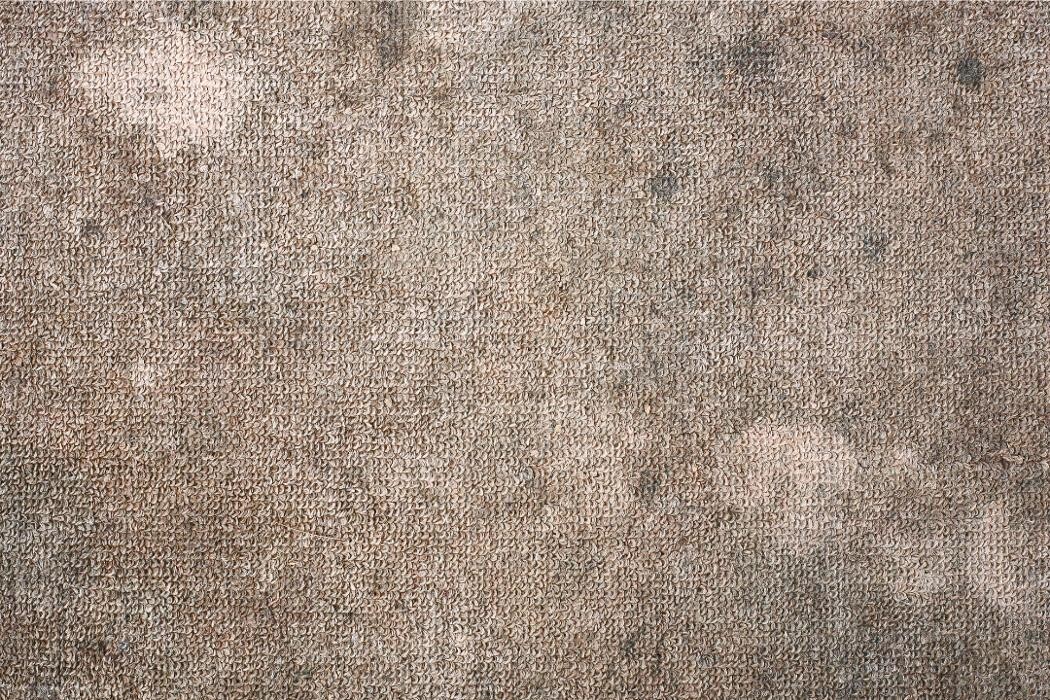 Images Premier Chem-Dry