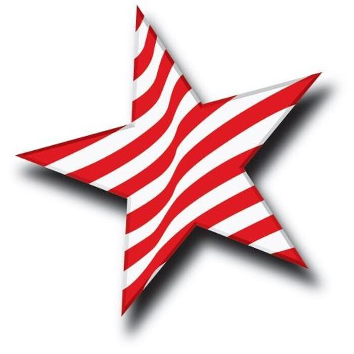 Texas Orthopedics Logo