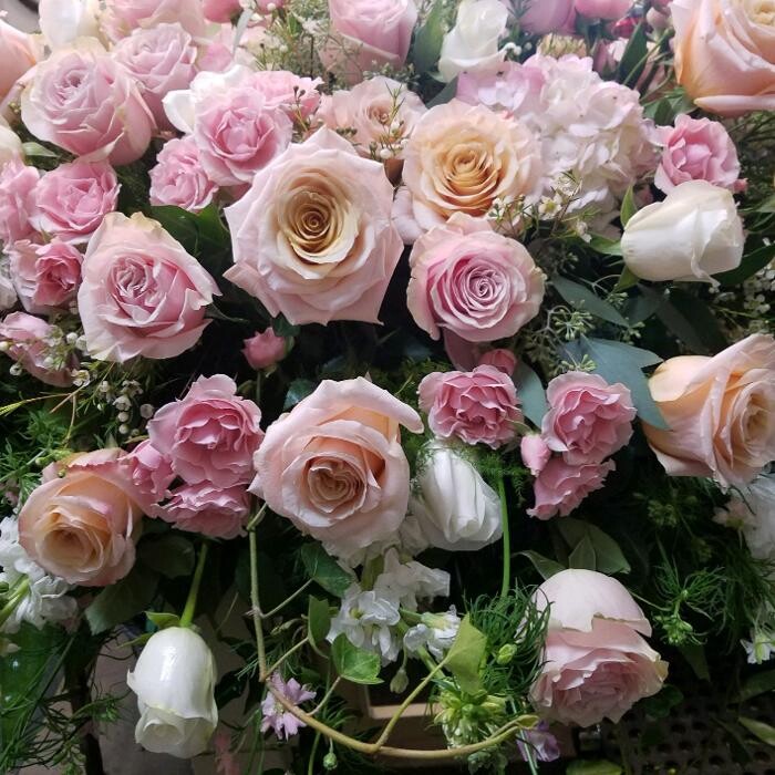 Images Morrison's Flowers & Gifts | Florist