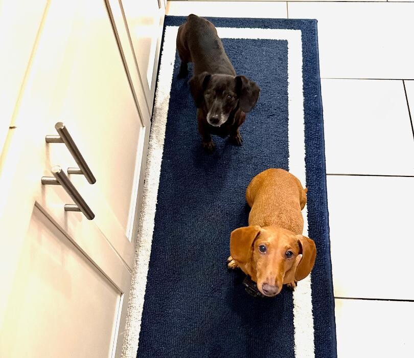 Images Tonja Busiek Homes