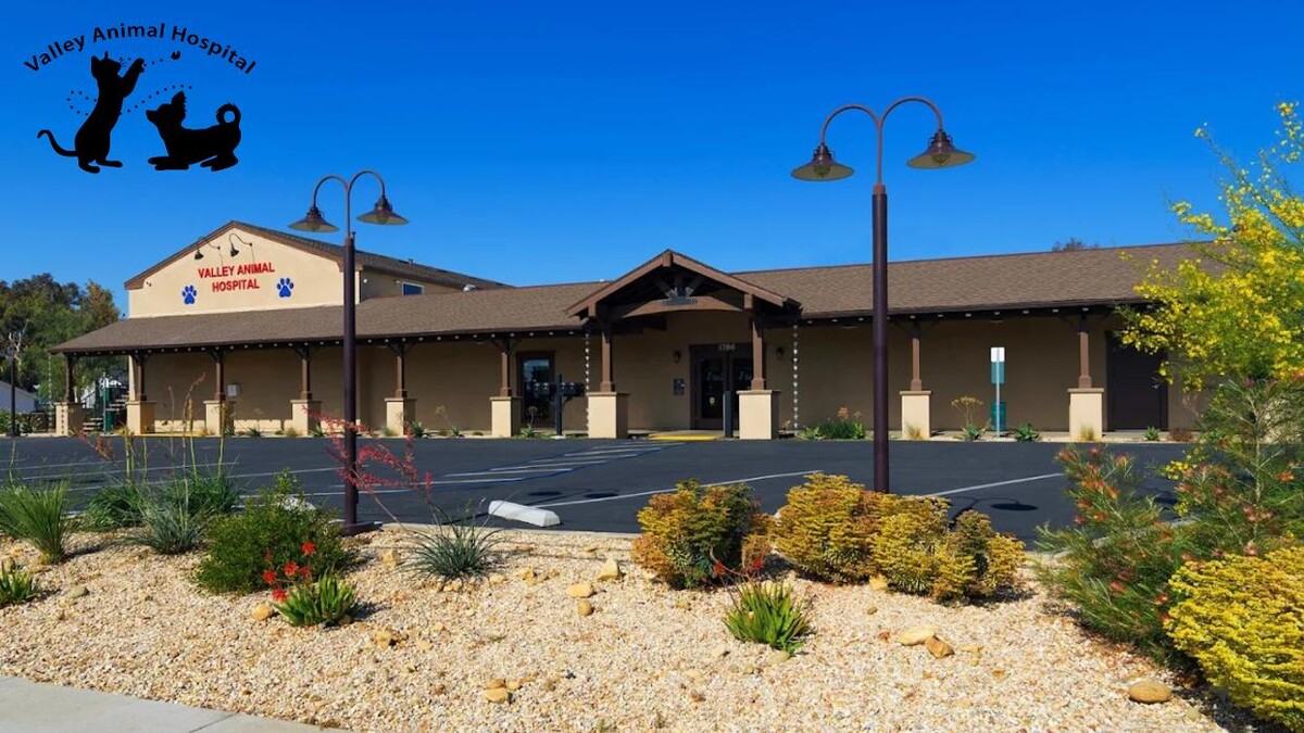 Images Valley Animal Hospital