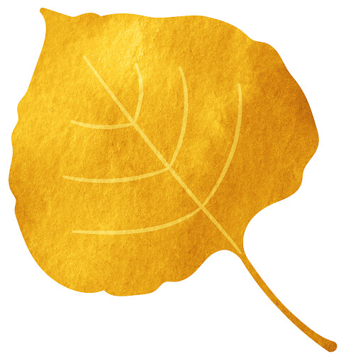 Aspen Counseling Services Logo