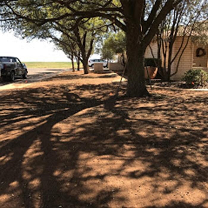 Images Bautista Pros Landscaping and Irrigation