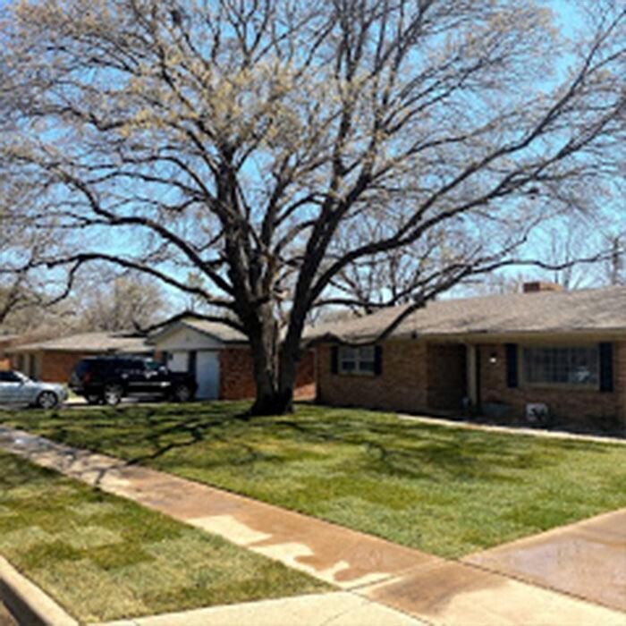 Images Bautista Pros Landscaping and Irrigation