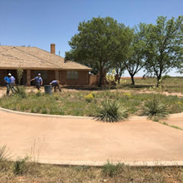Images Bautista Pros Landscaping and Irrigation
