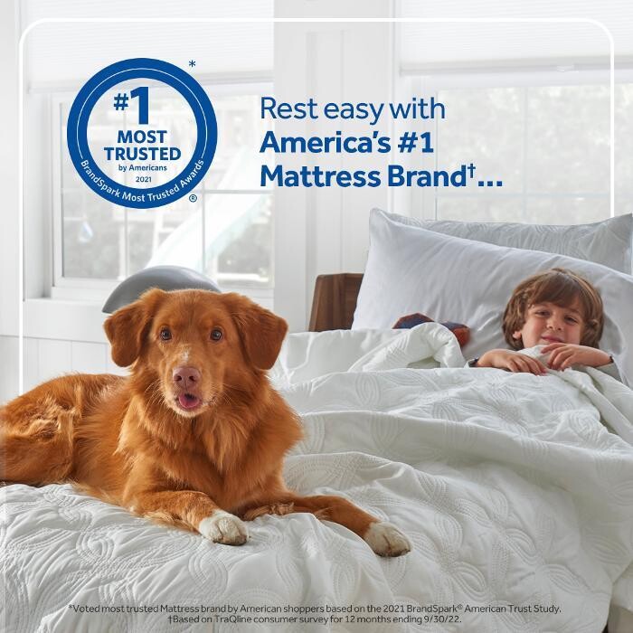 Images Mattress Dogzzz