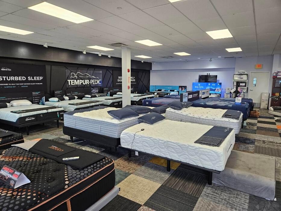 Images Mattress Dogzzz