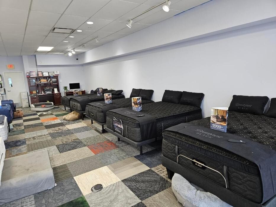 Images Mattress Dogzzz