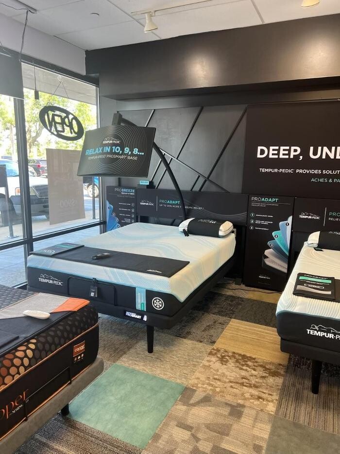 Images Mattress Dogzzz