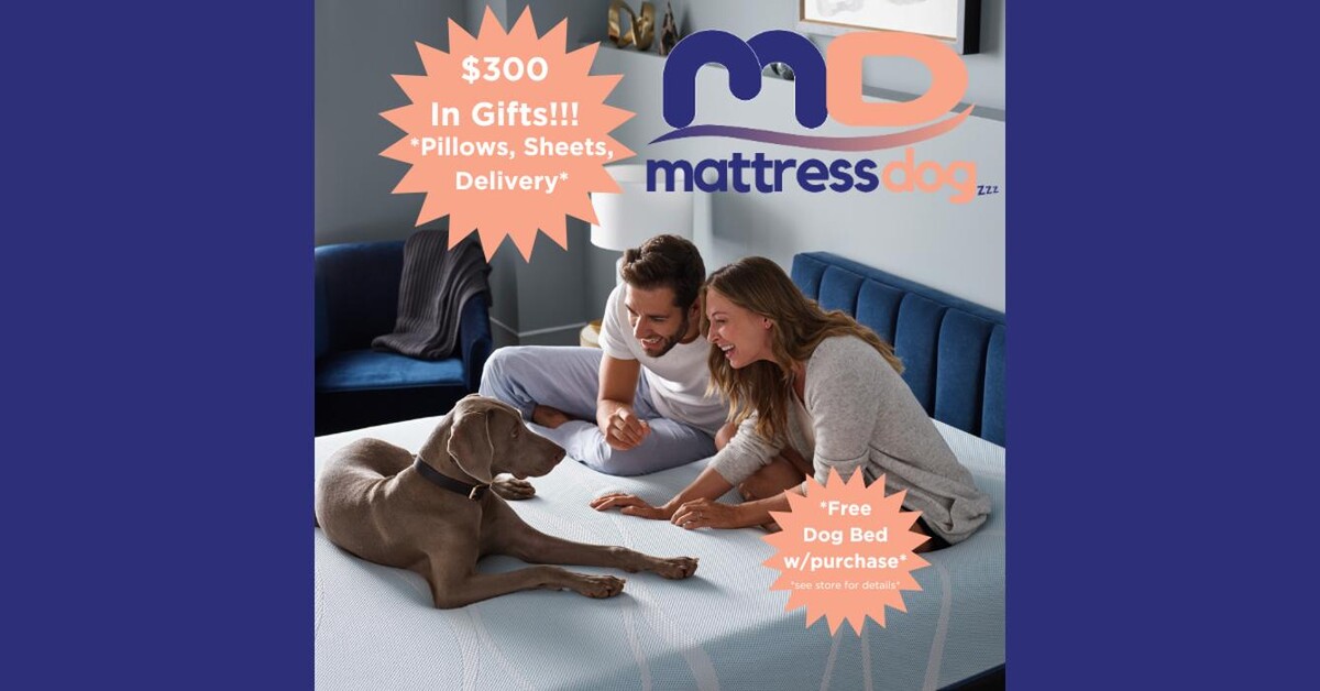 Images Mattress Dogzzz