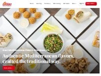 Website Screenshot Lazeez Fresh Mediterranean Grill