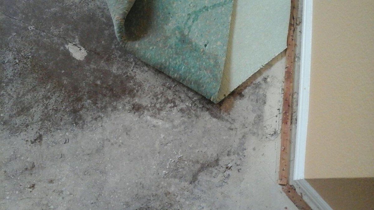 Images Dial One Johnson, Plumbing, Heating and AC Repair