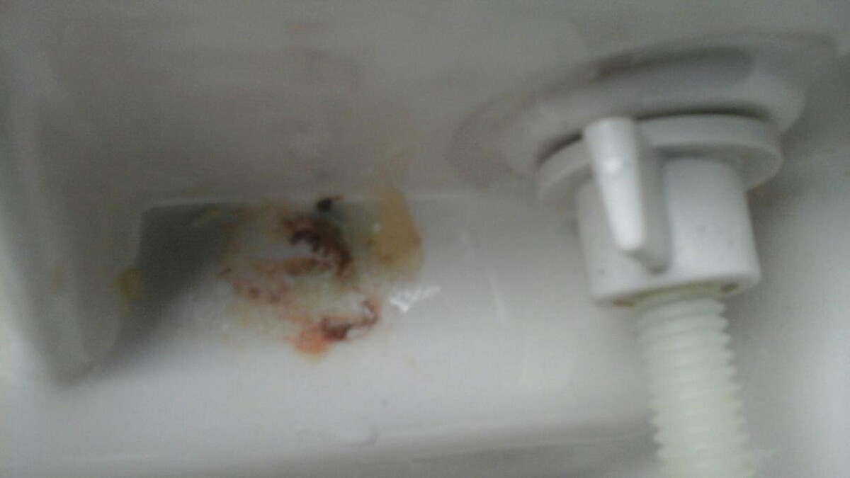 Images Dial One Johnson, Plumbing, Heating and AC Repair