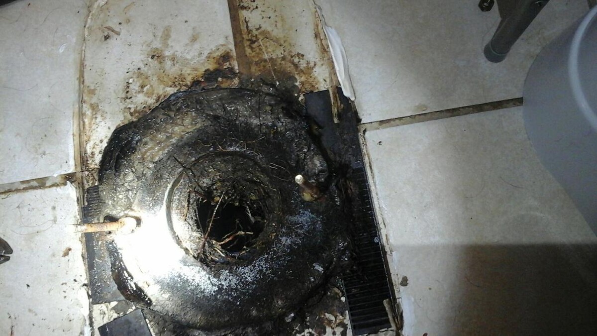 Images Dial One Johnson, Plumbing, Heating and AC Repair