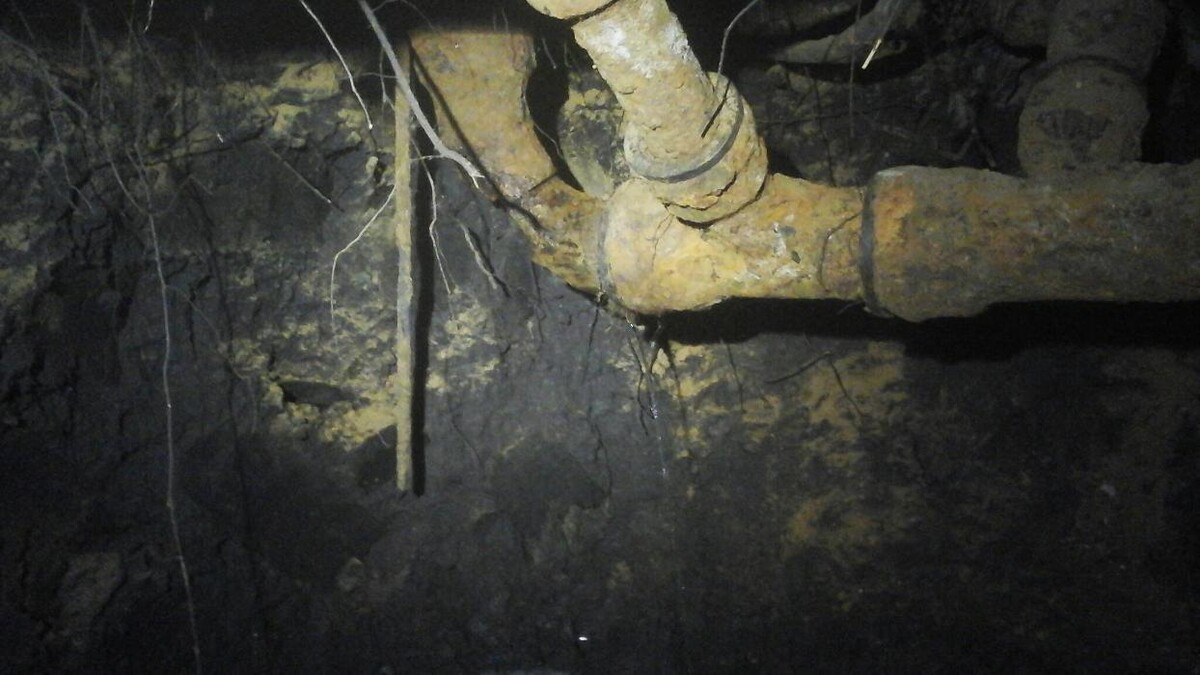 Images Dial One Johnson, Plumbing, Heating and AC Repair