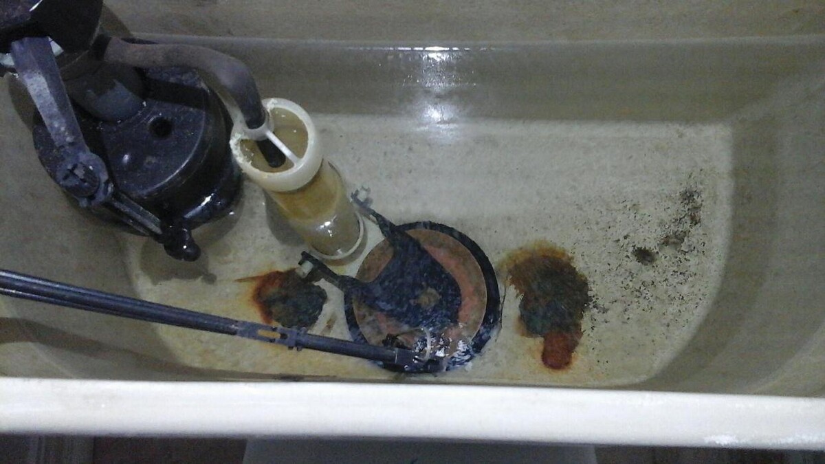 Images Dial One Johnson, Plumbing, Heating and AC Repair