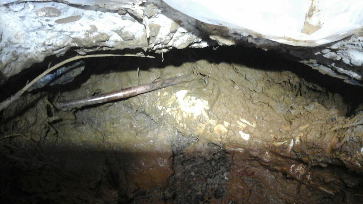 Images Dial One Johnson, Plumbing, Heating and AC Repair