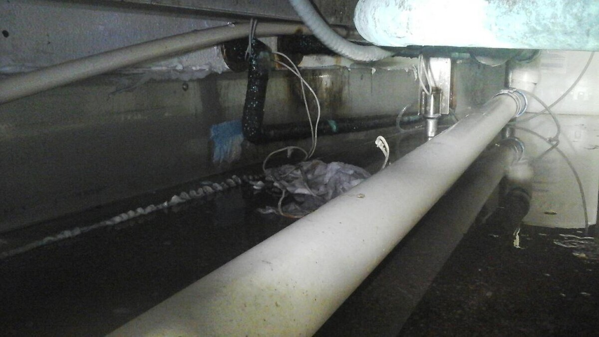 Images Dial One Johnson, Plumbing, Heating and AC Repair