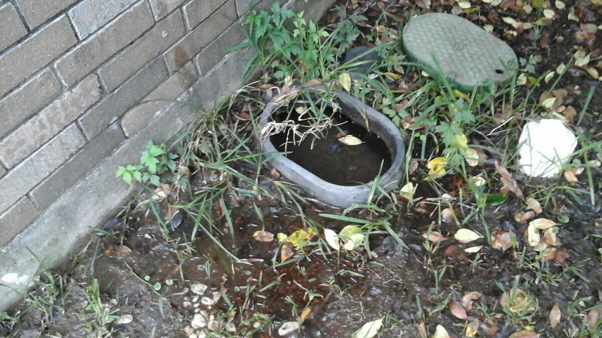 Images Dial One Johnson, Plumbing, Heating and AC Repair
