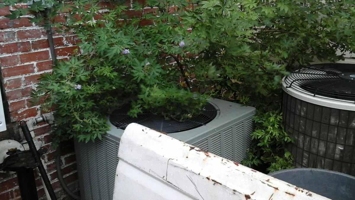 Images Dial One Johnson, Plumbing, Heating and AC Repair