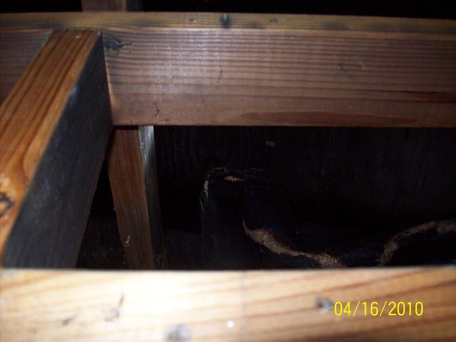 Images Dial One Johnson, Plumbing, Heating and AC Repair