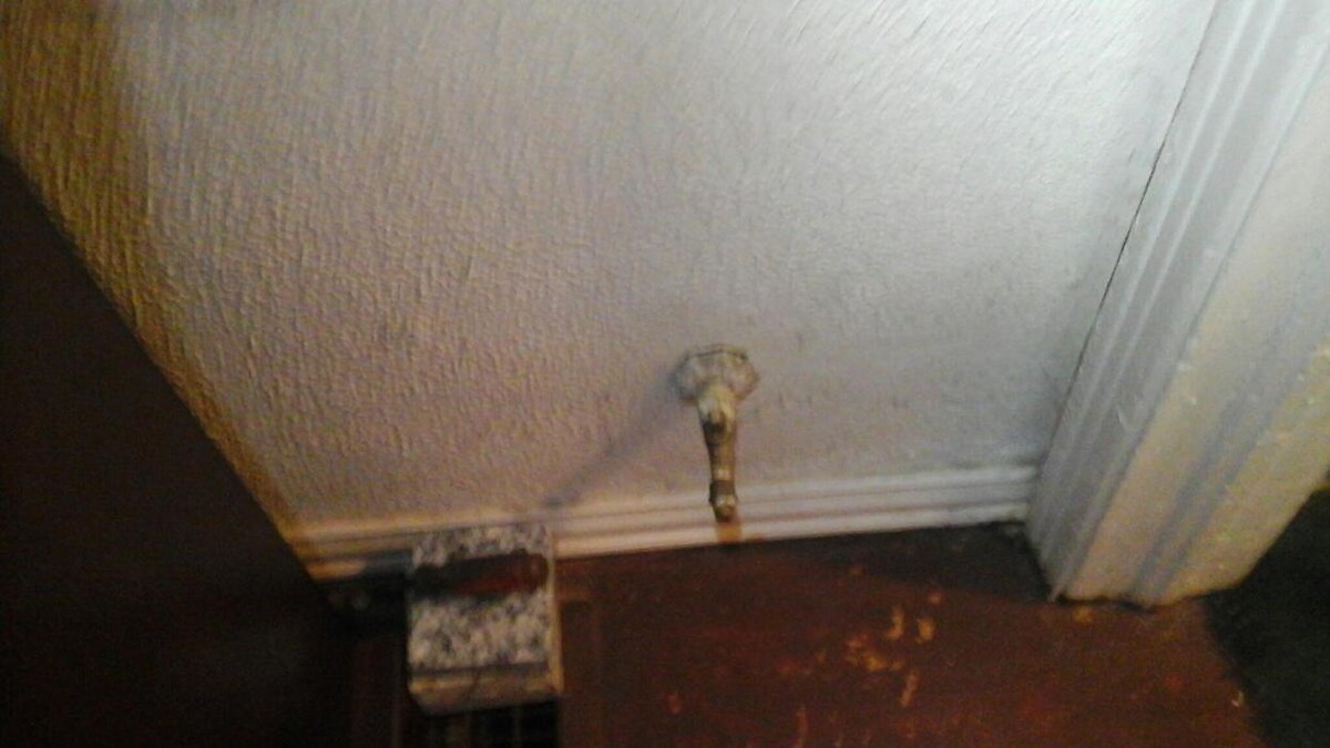 Images Dial One Johnson, Plumbing, Heating and AC Repair